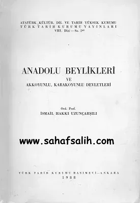 Anadolu Beylikleri ve Akkoyunlu, Karakoyunlu Devletleri