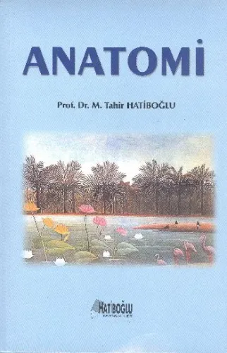 Anatomi