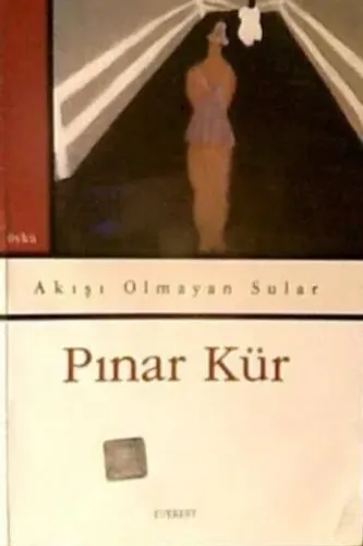 Akışı Olmayan Sular