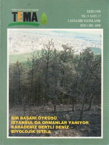 Tema 1998 / 17