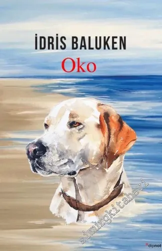 Oko -