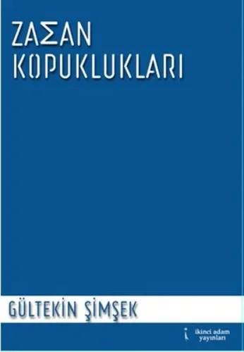 Zaman Kopuklukları