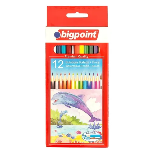 Bigpoint KURU BOYA KALEMİ AQUARELLE 12 RENK & SULU KURU BOYA FIRÇALI