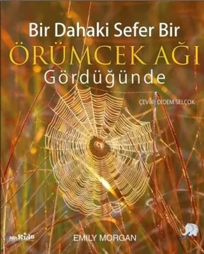 Bir Dahaki Sefer Öğrümcek Ağı Gördüğünde