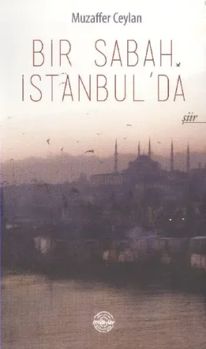 Bir Sabah İstanbul'da