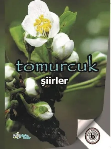 Tomurcuk
