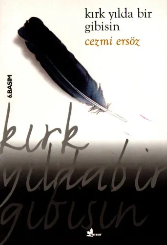Kırk Yılda Bir Gibisin