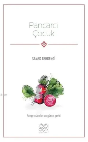 Pancarcı Çocuk