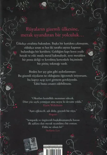 Silber / Rüyalar Kitabı 1 (Ciltli) Kerstin Gier Pegasus Yayıncılık %62