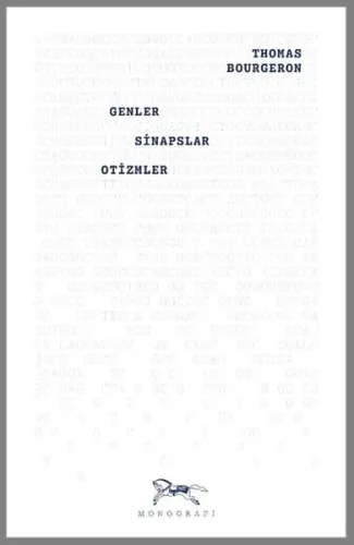 Genler, Sinapslar, Otizmler