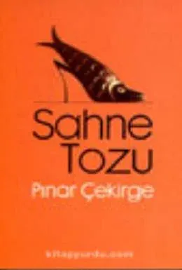 Sahne Tozu