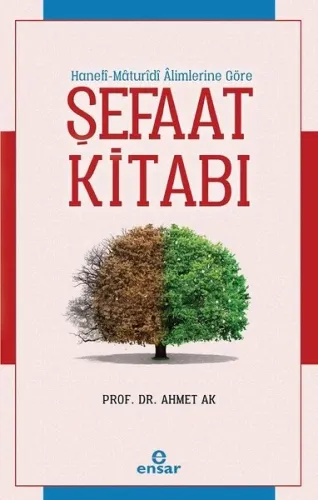 Şefaat Kitabı; Hanefi - Maturidi Alimlerine Göre