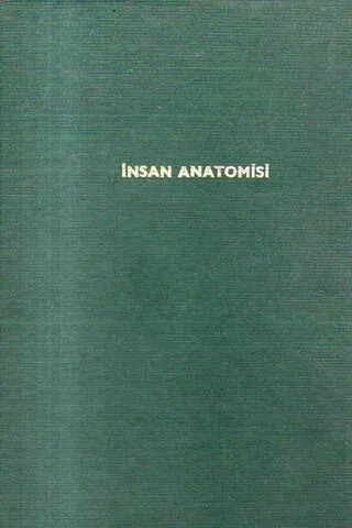 İnsan Anatomisi