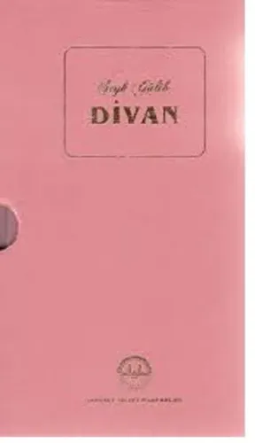 Divan-Şeyh Galib-Kutulu