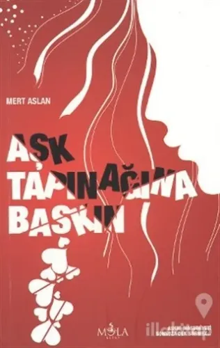 Aşk Tapınağına Baskın