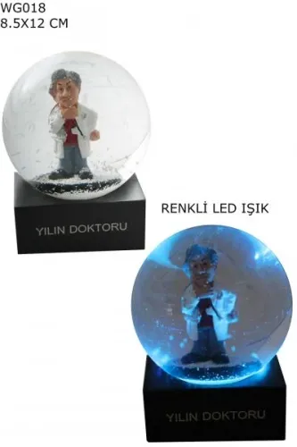Kar Küresi Yılın Doktoru Erkek