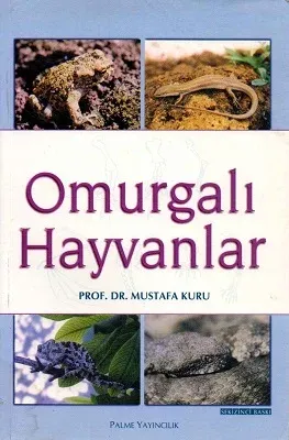 Omurgalı Hayvanlar