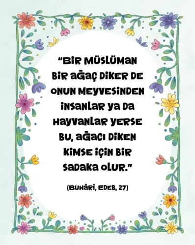 Hadis Kartları