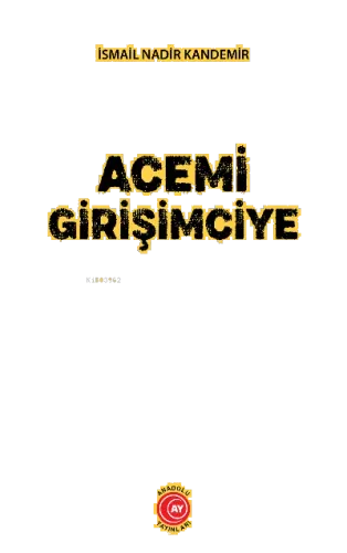 Acemi Girişimciye
