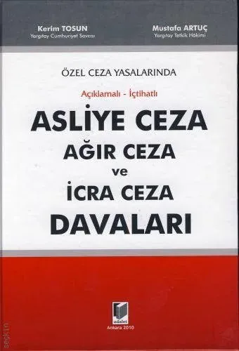 Asliye Ceza Ağır Ceza ve İcra Ceza Davaları