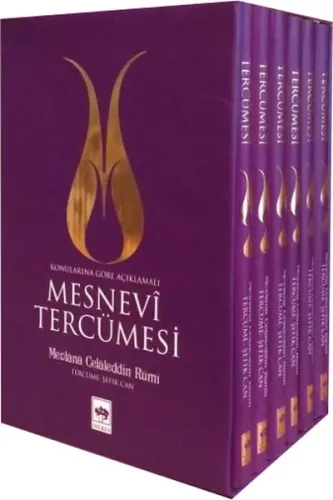 Mesnevi Tercümesi