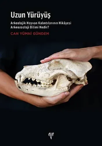 Uzun Yürüyüş - Arkeozooloji Bilimi Nedir? Arkeolojik Hayvan Kalıntılarının Hikâyesi