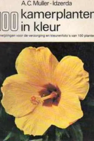 100 Kamerplanten In Kleur