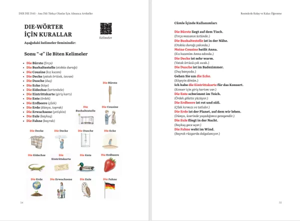 DER DIE DAS Ana Dili Türkçe Olanlar İçin Almanca Artikeller Akademik K