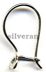 Ear Wires and Ear Posts - Bright