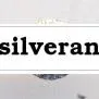 Sterling Silver Findings 2