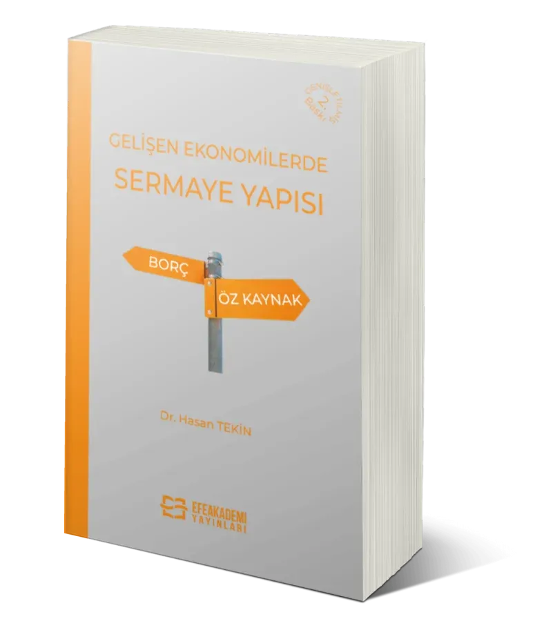 Gelişen Ekonomilerde Sermaye Yapısı